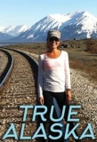 Poster for True Alaska