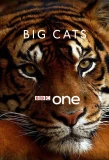 Poster for Big Cats