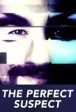 Poster for The Perfect Suspect