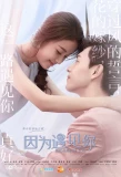 Poster for Because of You