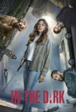 Poster for In the Dark