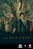 Poster for The Bad Seed