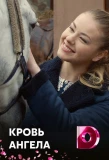 Poster for Кровь ангела