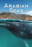 Poster for Arabian Seas