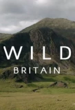 Poster for Wild Britain