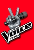Poster for The Voice of Italy
