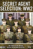 Poster for Secret Agent Selection: WW2