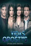 Poster for Vidas Opostas