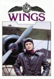 Poster for Wings