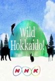 Poster for Wild Hokkaido!