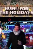Poster for Home for the Holidays