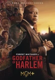 Poster for Godfather of Harlem