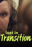 Poster for Lost in Transition
