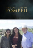 Poster for Pompeii's Final Hours: New Evidence