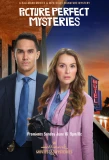 Poster for Picture Perfect Mysteries