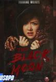 Poster for The Black Moon