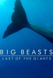 Poster for Big Beasts: Last of the Giants