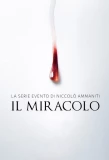 Poster for Il miracolo