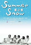 Poster for Summer Snow