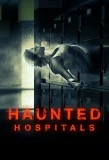 Poster for Haunted Hospitals
