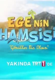 Poster for Ege'nin Hamsisi