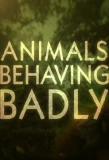 Poster for Animals Behaving Badly