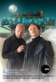 Poster for Storbynatt