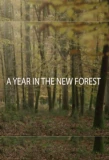Poster for A Year in the New Forest
