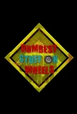 Poster for Dumbest Stuff on Wheels