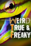 Poster for Weird, True & Freaky