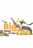 Poster for Big Week at the Zoo