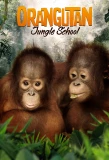 Poster for Orangutan Jungle School