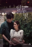 Poster for Twelve Nights