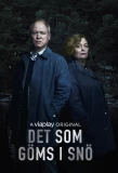 Poster for Det som göms i snö