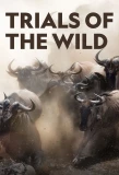 Poster for Trials of the Wild