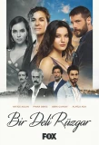 Poster for Bir Deli Rüzgar
