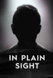 Poster for In Plain Sight