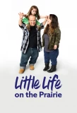 Poster for Little Life on the Prairie