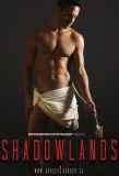Poster for Shadowlands