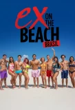 Poster for De Férias com o Ex Brasil
