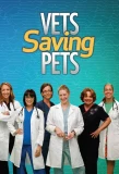 Poster for Vets Saving Pets