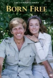 Poster for Born Free