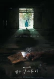 Poster for Children of Nobody