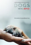Poster for Dogs