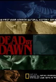 Poster for Dead by Dawn