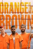 Poster for Orange Is the New Brown
