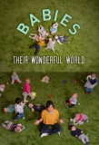 Poster for Babies: Their Wonderful World