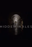 Poster for Hidden Wales with Will Millard