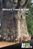 Poster for Africa's Trees of Life