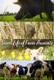 Poster for Secret Life of Farm Animals
